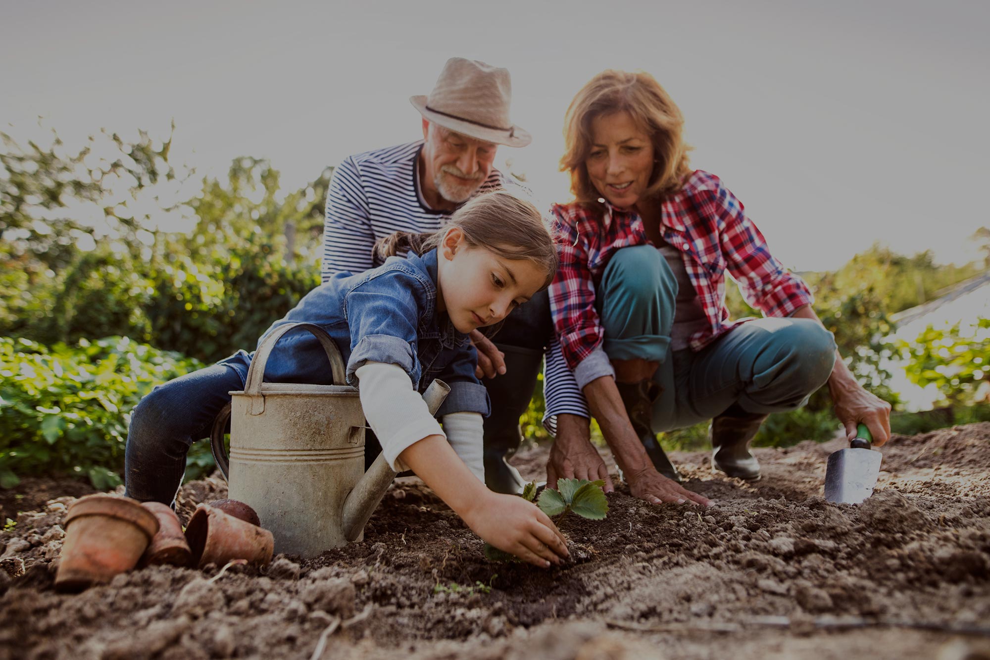 Grandparents with granddaughter gardening